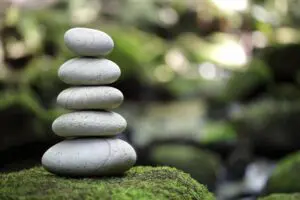 Stacked rocks on mossy ground.