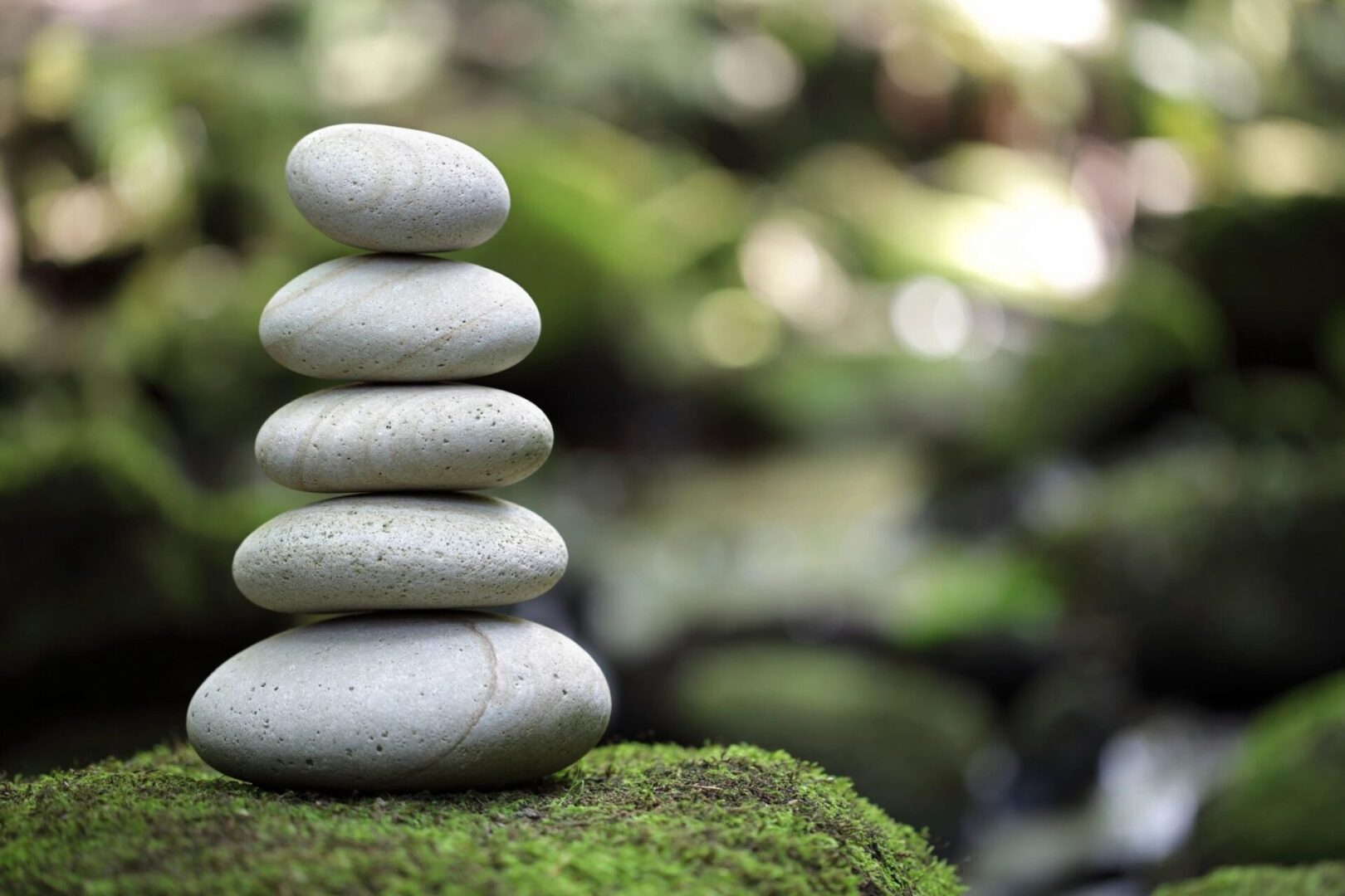 Stacked rocks on mossy ground.