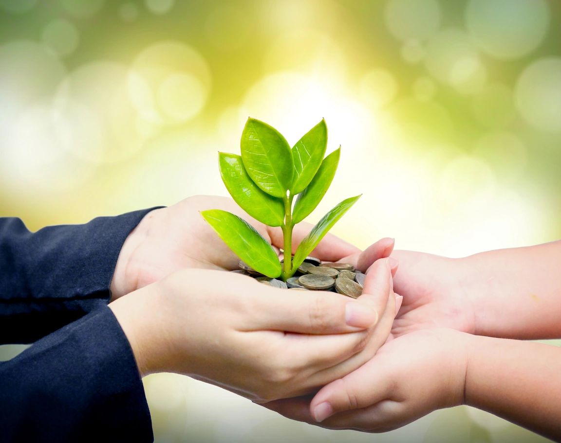 Hands holding a small plant growing from coins.