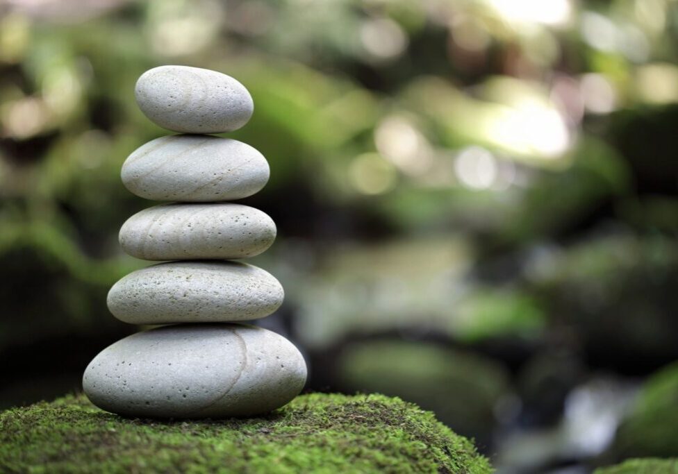 Stacked rocks on mossy ground.